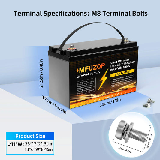 12V 100Ah Lithium LiFePO4 Battery with 100A BMS Perfect for RV,Golf Cart,Solar Power System,