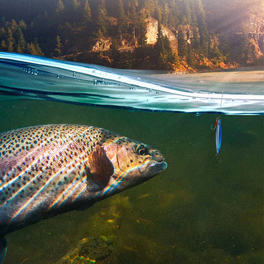 Metal Jig Fishing Lure 60g Trolling Hard Bait Fast Sinking