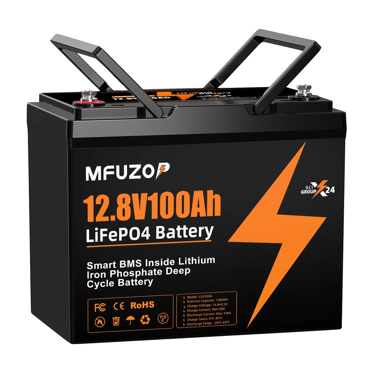 12V 100Ah Lithium LiFePO4 Battery with 100A BMS Perfect for RV,Golf Cart,Solar Power System,