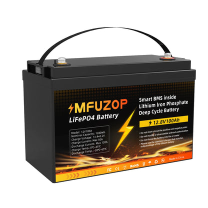 12V 100Ah Lithium LiFePO4 Battery with 100A BMS Perfect for RV,Golf Cart,Solar Power System,