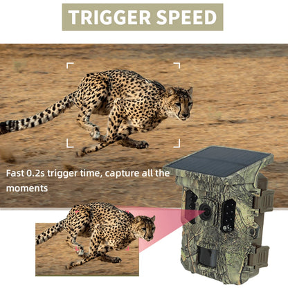 Wildlife Camera Solar Energy Trail Cam 4K with 1080P Night Vision Waterproof BT WiFi