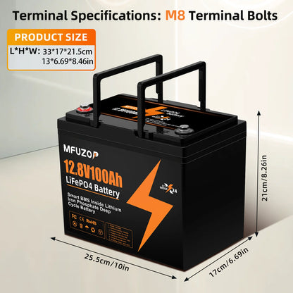 12V 100Ah Lithium LiFePO4 Battery with 100A BMS Perfect for RV,Golf Cart,Solar Power System,